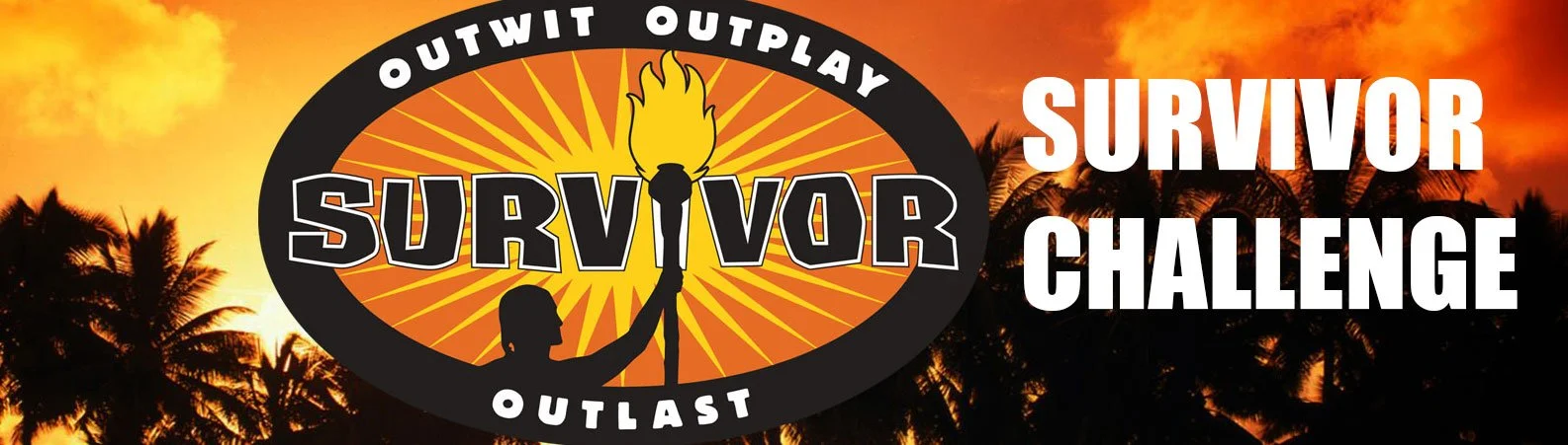 D&S Survivor.jpeg