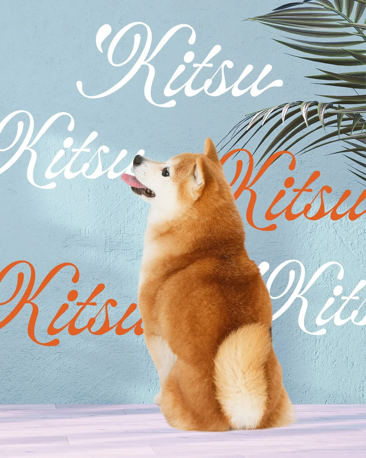 Not just another pet brand 😏🐕✨

Kitsu isn&rsquo;t just about cute dog collars. It&rsquo;s a full identity system, colors, patterns, &amp; details designed with intention 

🐾 The truth? Most pet products feel either cheap, overly cutesy, or designe