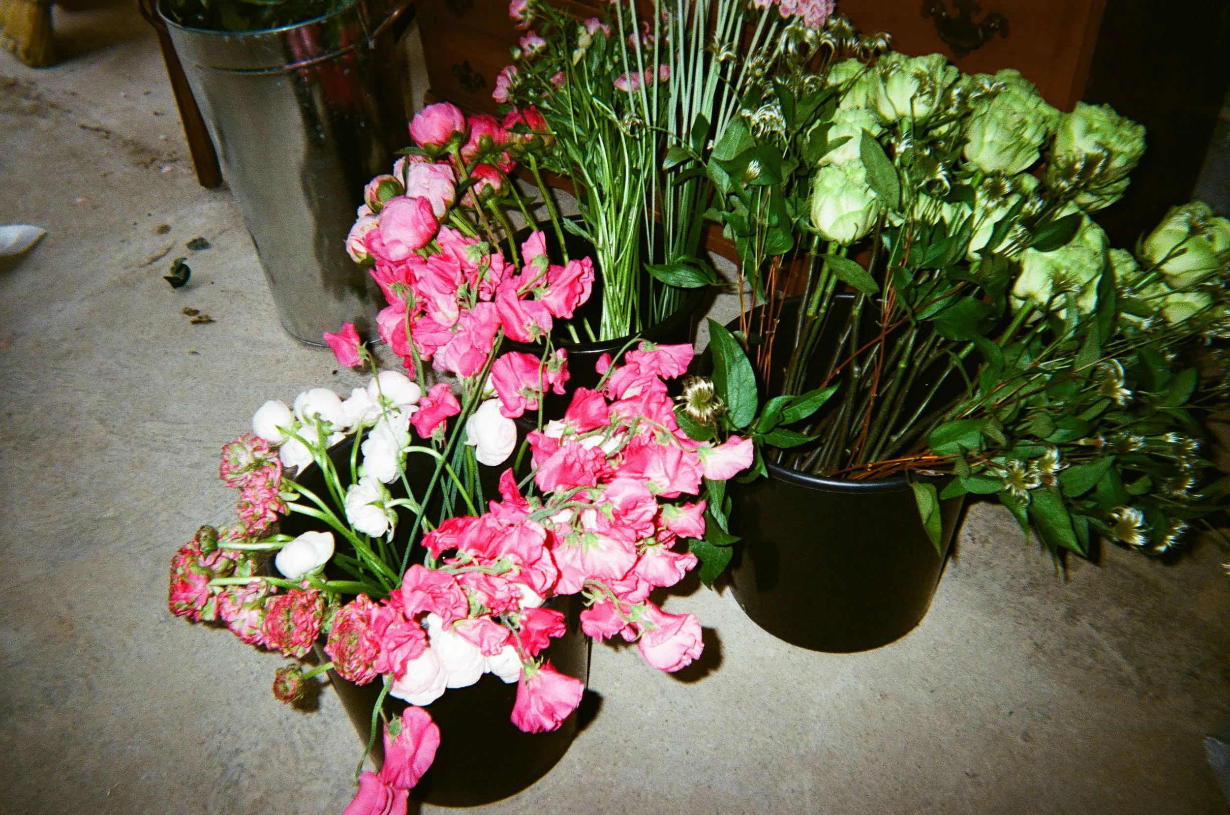 IMG_0683.jpeg