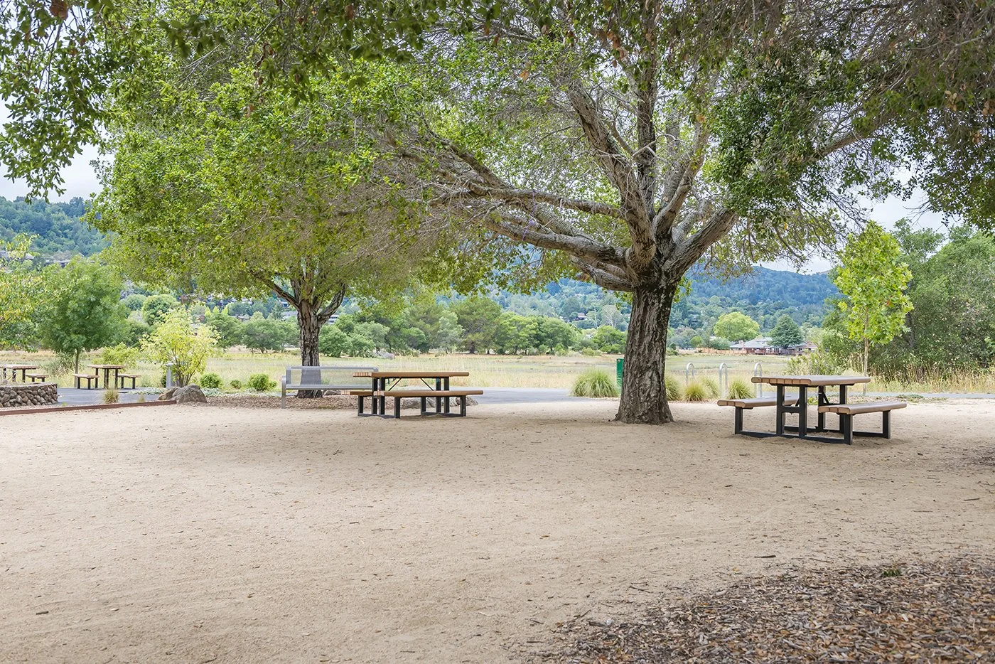 Park with two large trees, picnic tables, and a sandy ground, with hills and green trees in the background.