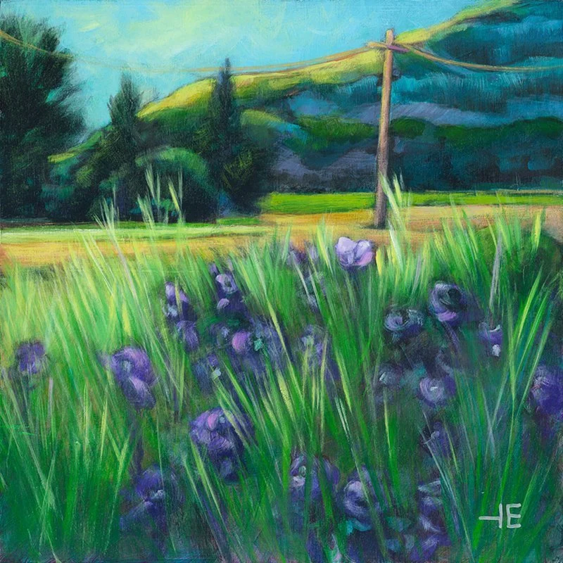 Looking through the prairie irises