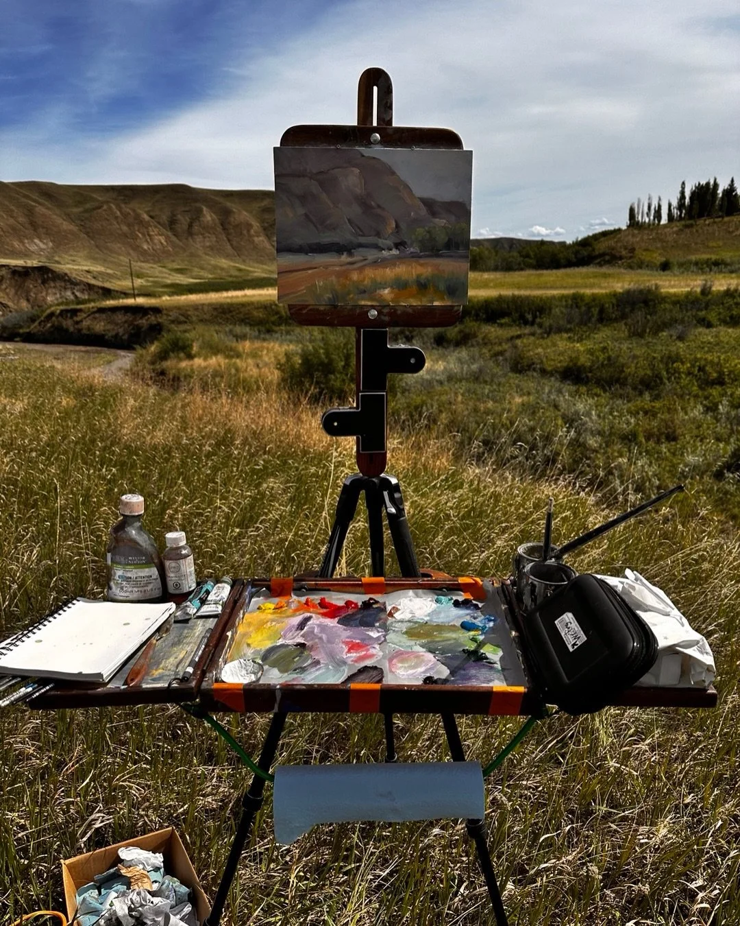 Day 2&amp;3 at the Rosebud Plein Air Painting weekend. 
The weather turned out to be amazing. I think the like-minded friends you see from year to year make the weekend a great adventure. 
.
.
.
#theresaeisenbarth #eisenbarthart #pleinair #painting #