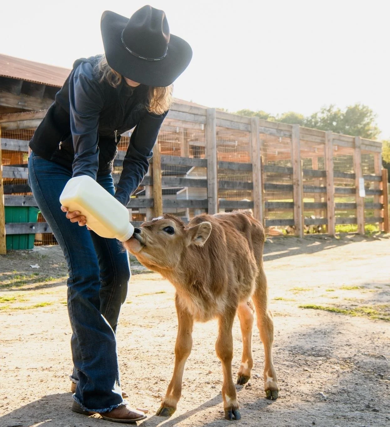 Ranch Sitting & Livestock Care