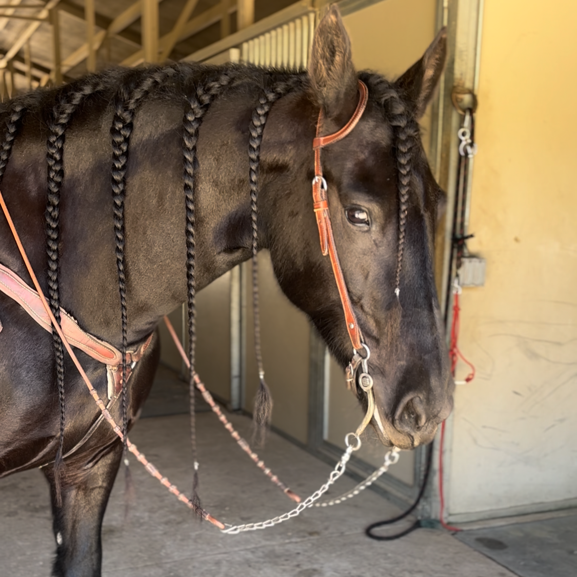 Grooming & Presentation