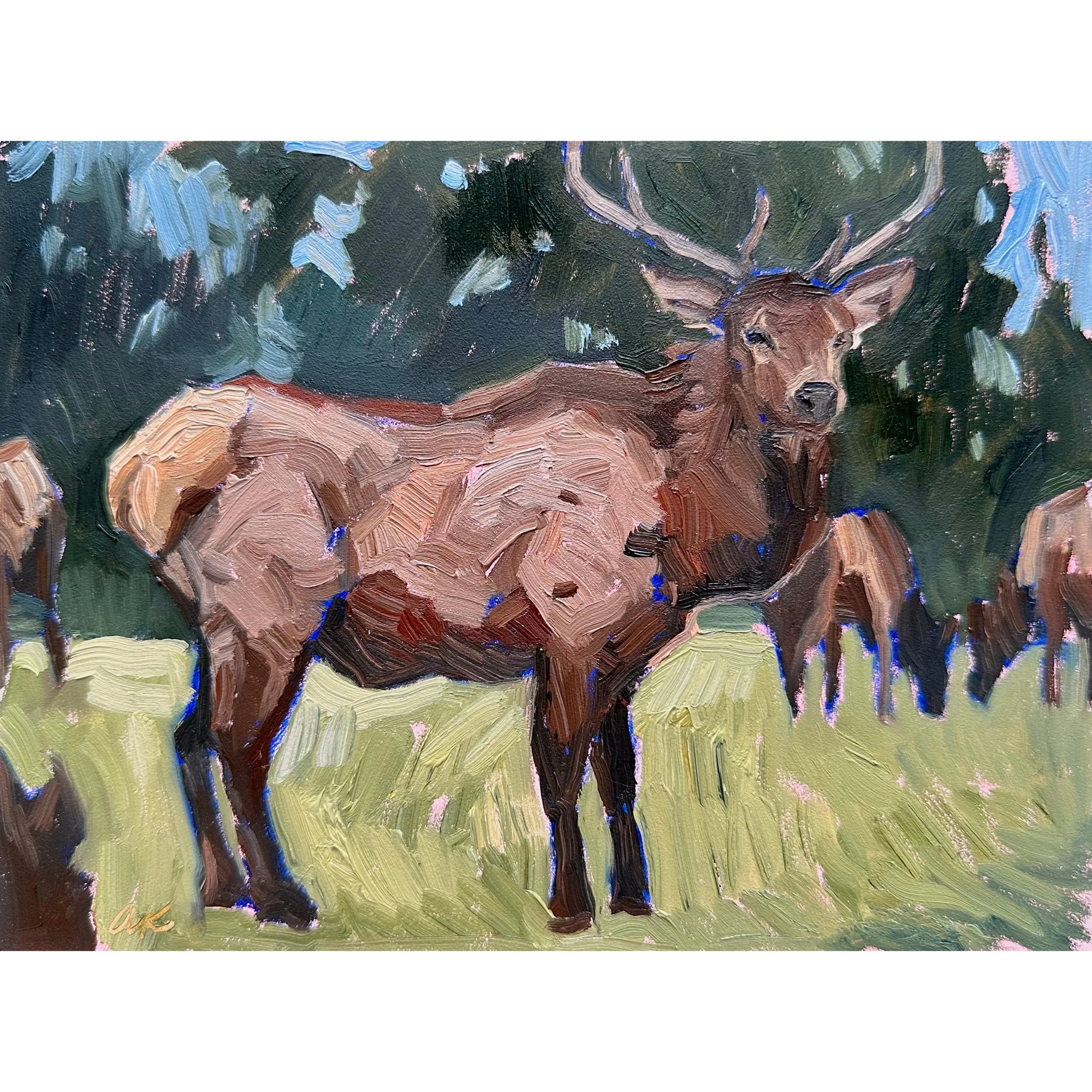 Elk in the Park - 6x8