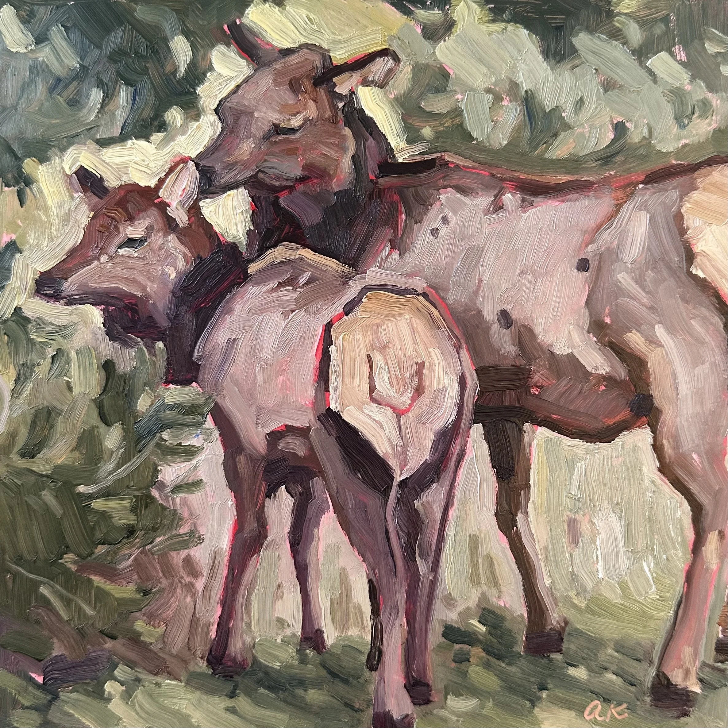 Oil, 8x8, Not Yet Released