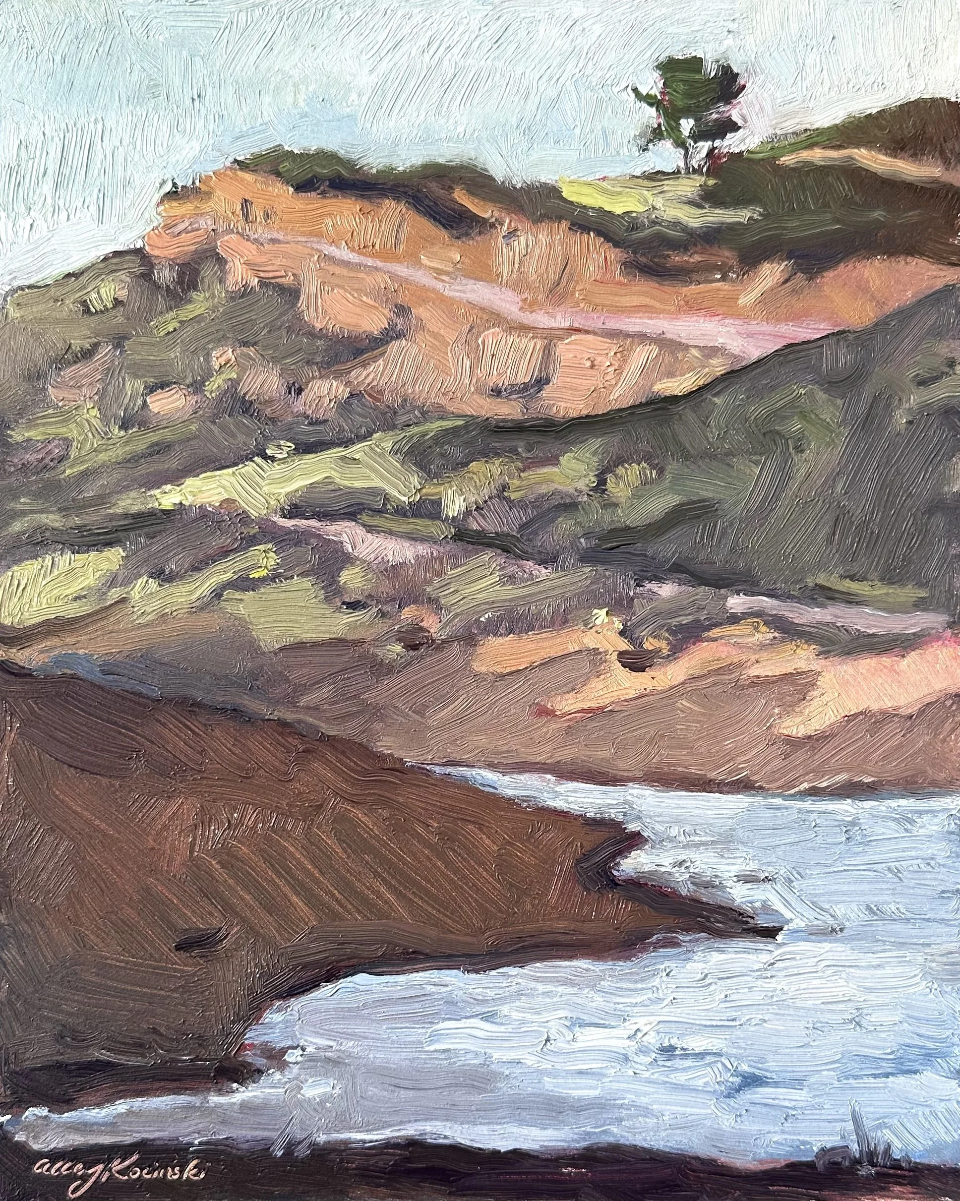 8x10 oil, Lory State Park, available