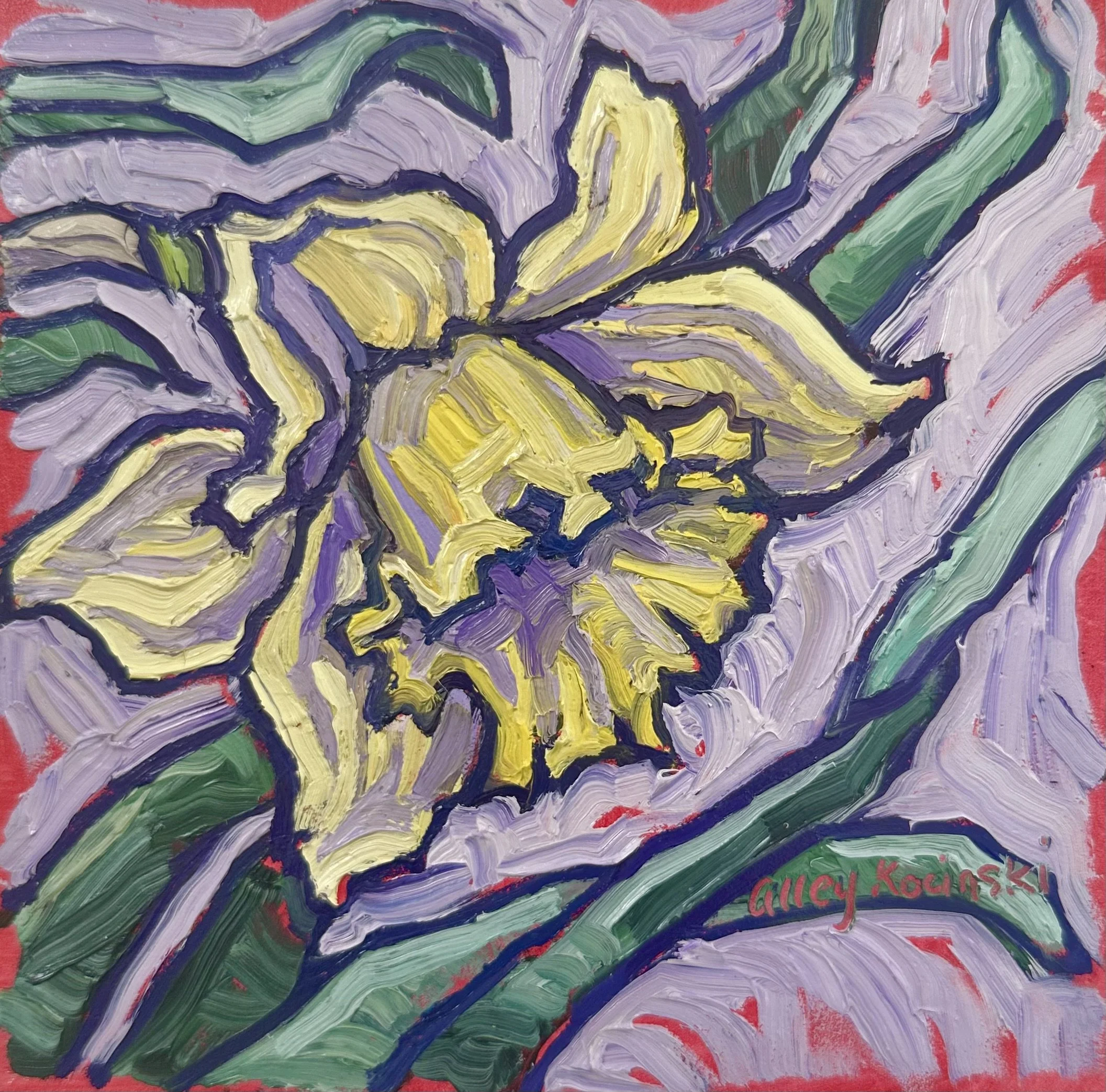 Daffodil 3, 6x6 oil, available