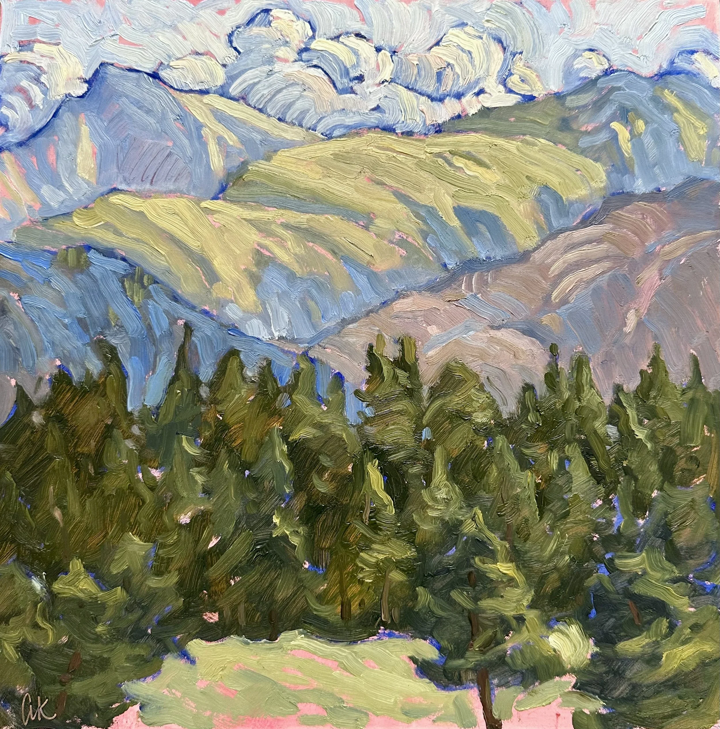 Beaver Meadows Plein Air at RMNP