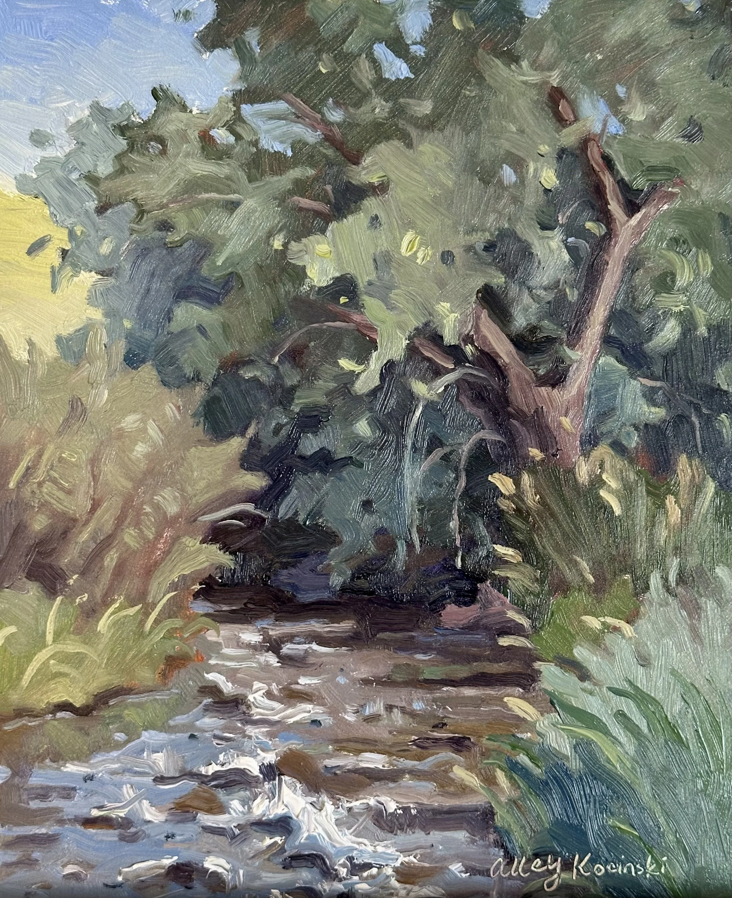 "Riverside" 8x10 oil, Loveland Colorado, available
