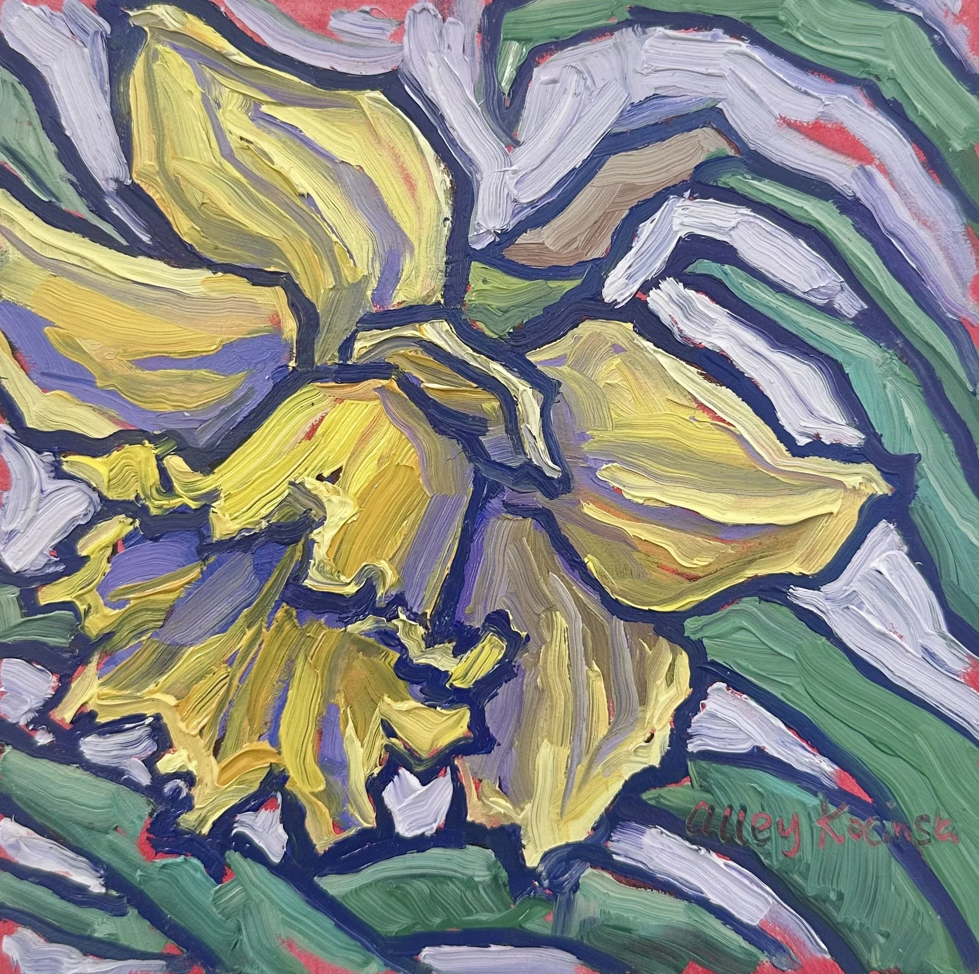 Daffodil 1