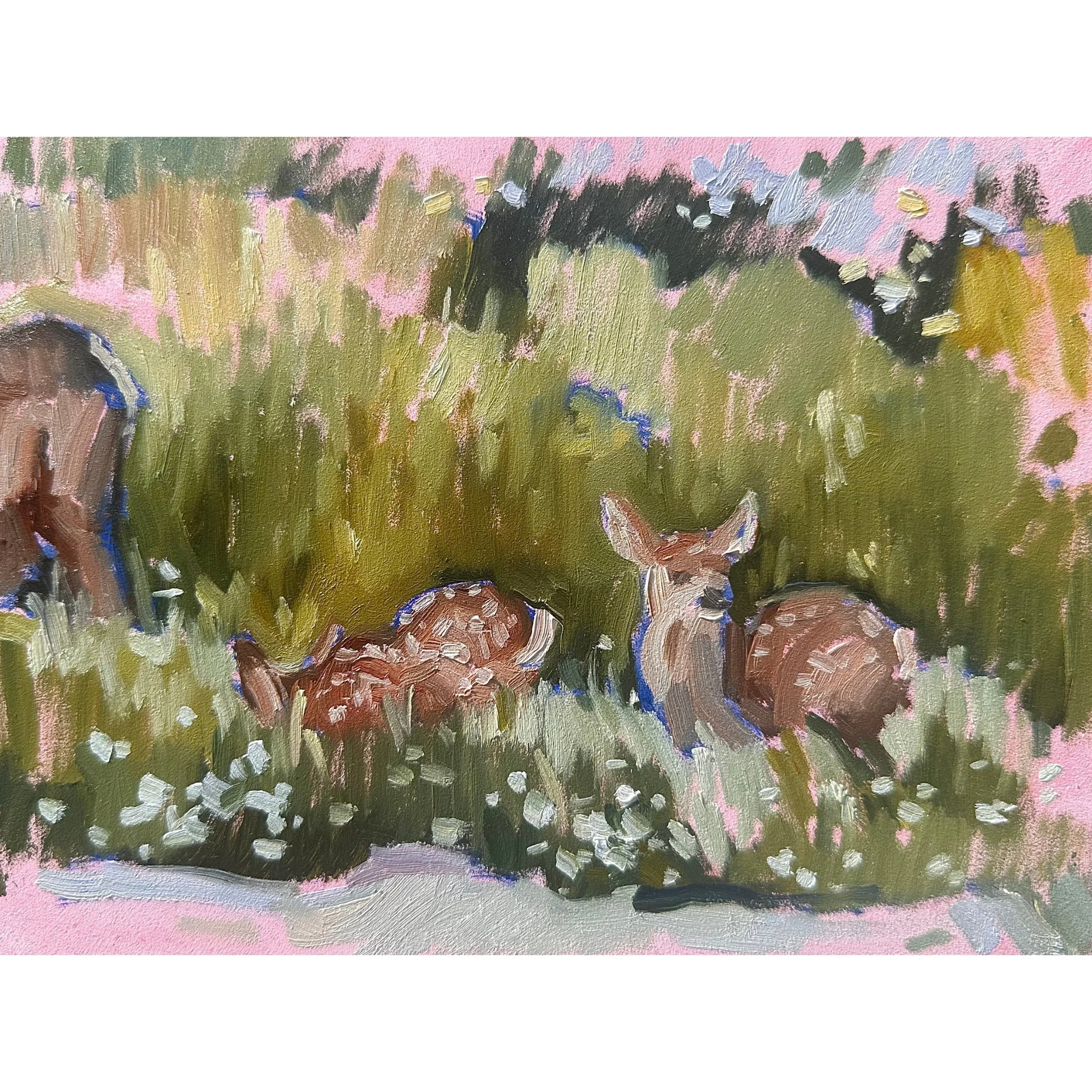 Fawns in the Meadow - 6x8