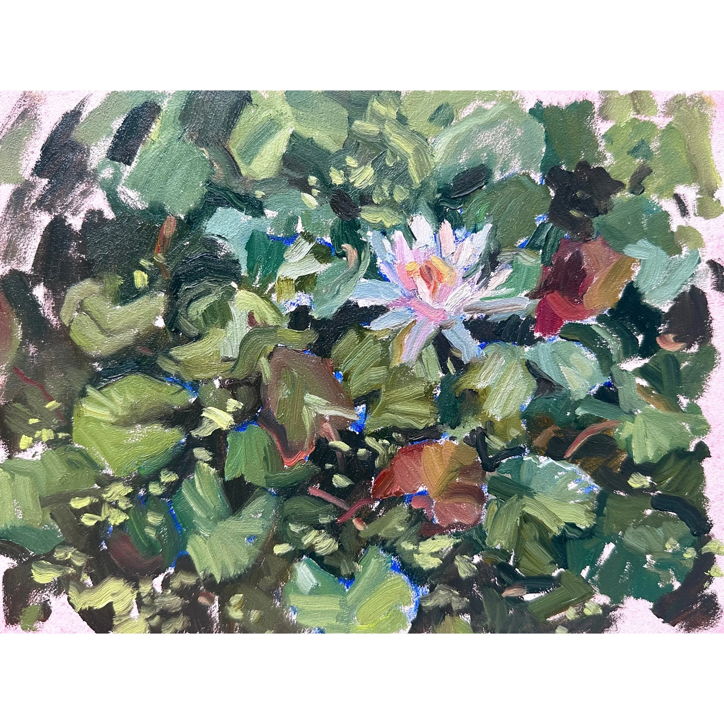 Lily Pads Plein Air - 6x8