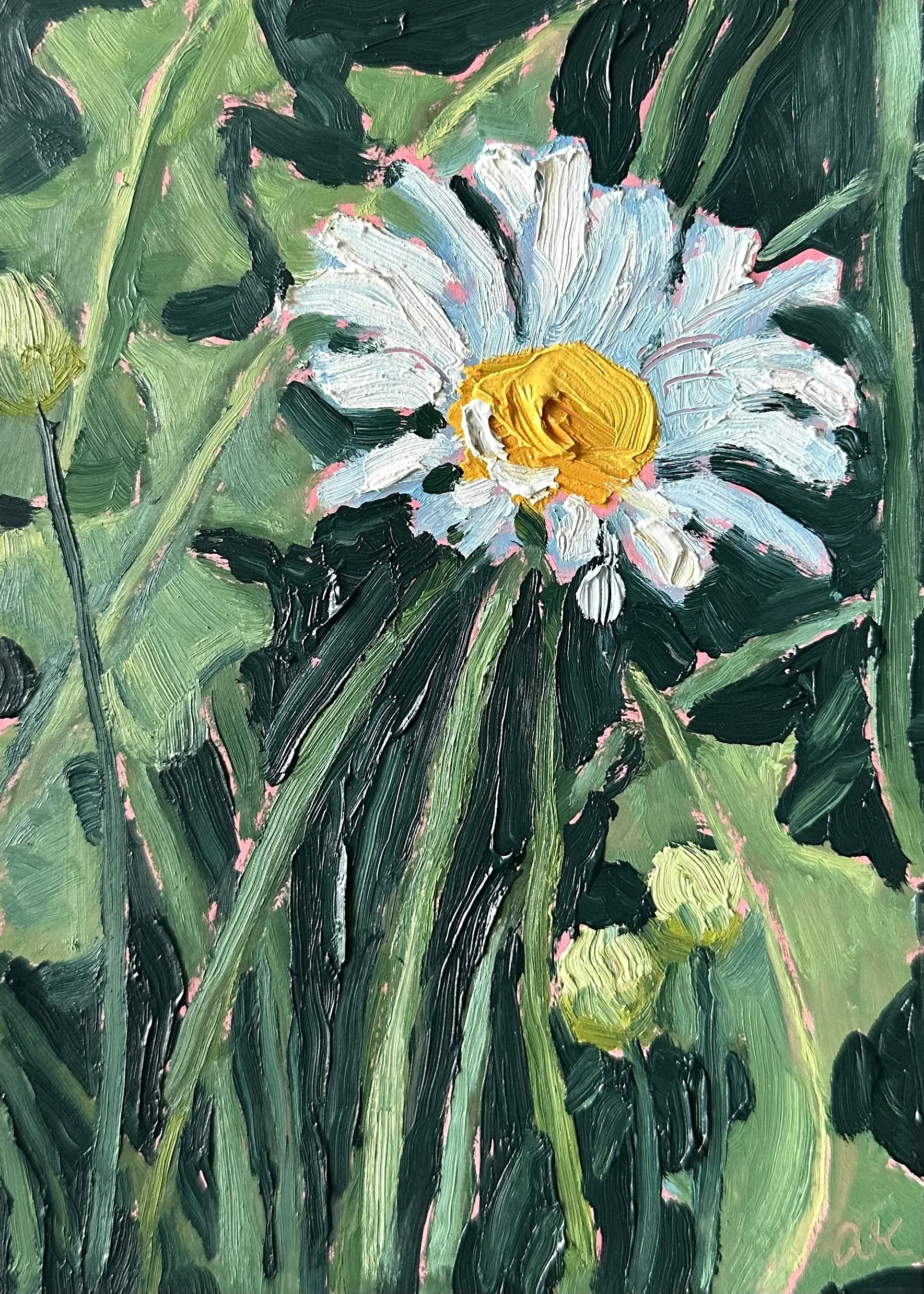 Daisies #5 - 5x7