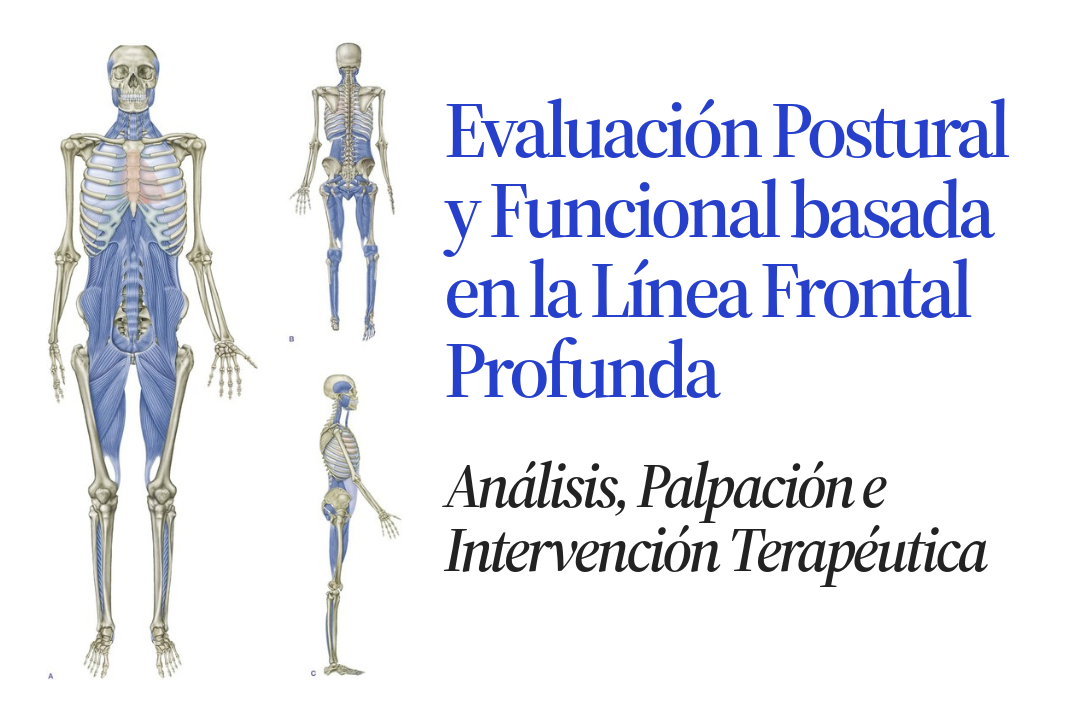 Evaluación Postural y Funcional basada en la Línea Frontal Profunda