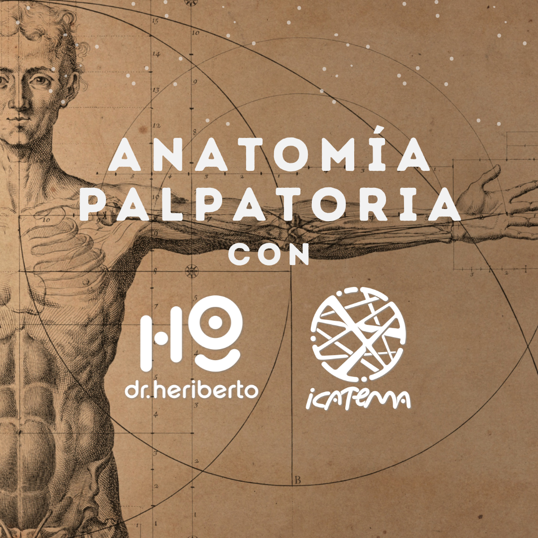 Anatomía Palpatoria