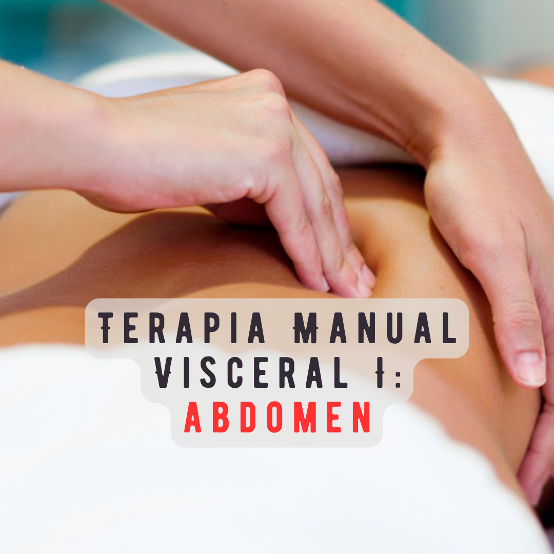 Terapia Manual Visceral I: Abdomen - Anatomía palpatoria, movilidad tisular e integración clínica