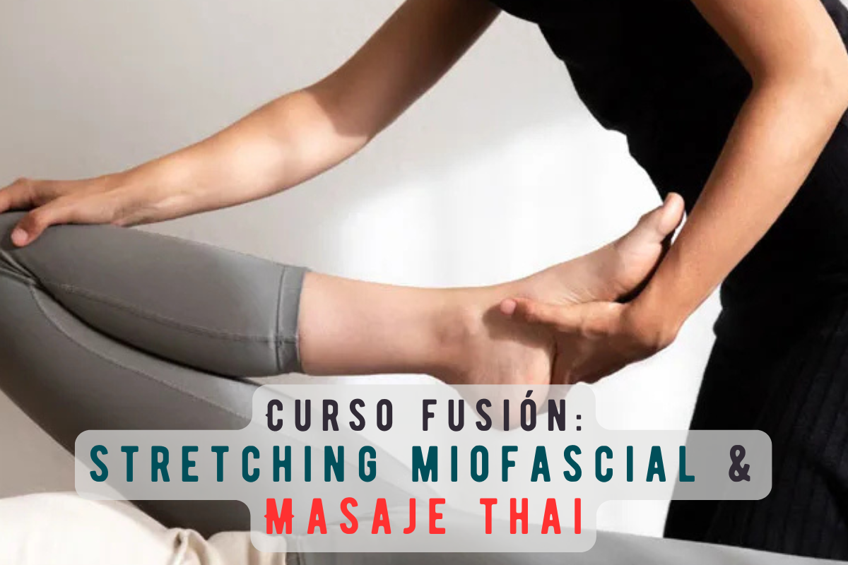 Stretching y Masaje Thai: Curso Fusión