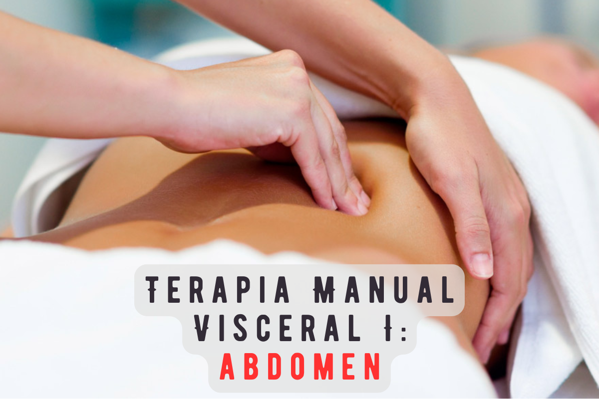 Terapia Manual Visceral I: Abdomen - Anatomía palpatoria, movilidad tisular e integración clínica