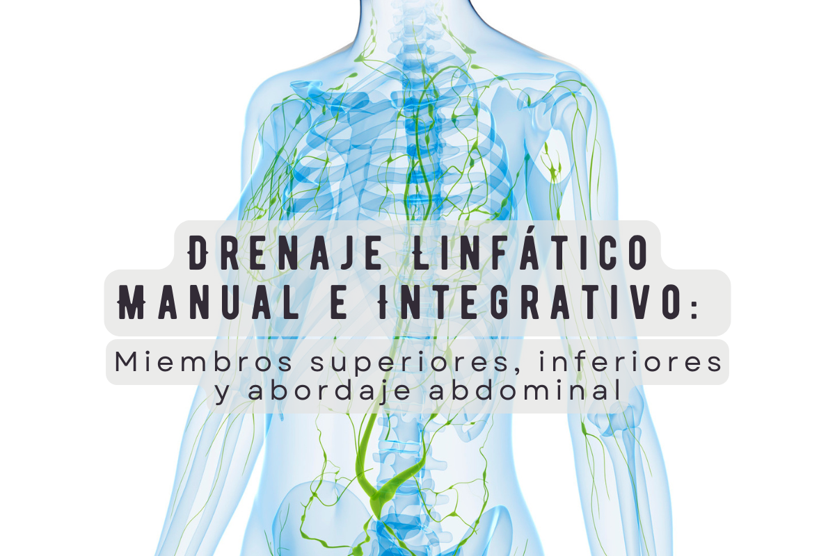 Drenaje Linfático Manual e Integrativo: Miembros superiores, inferiores y abordaje abdominal