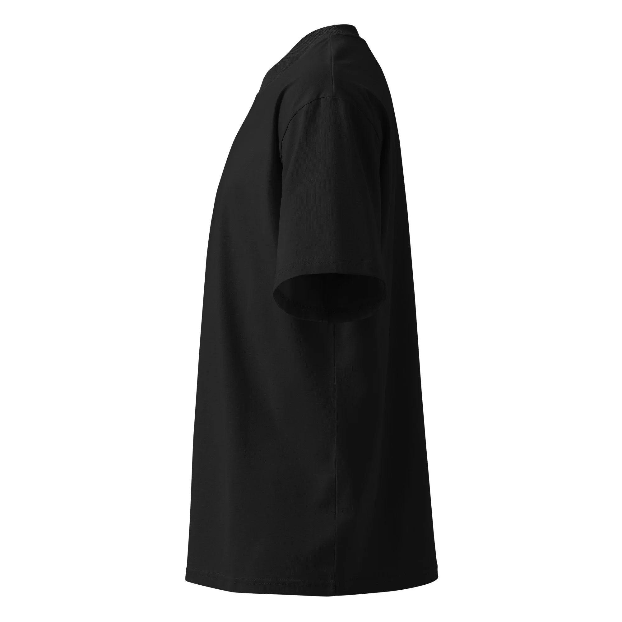 LL organic oversized high neck t-shirt