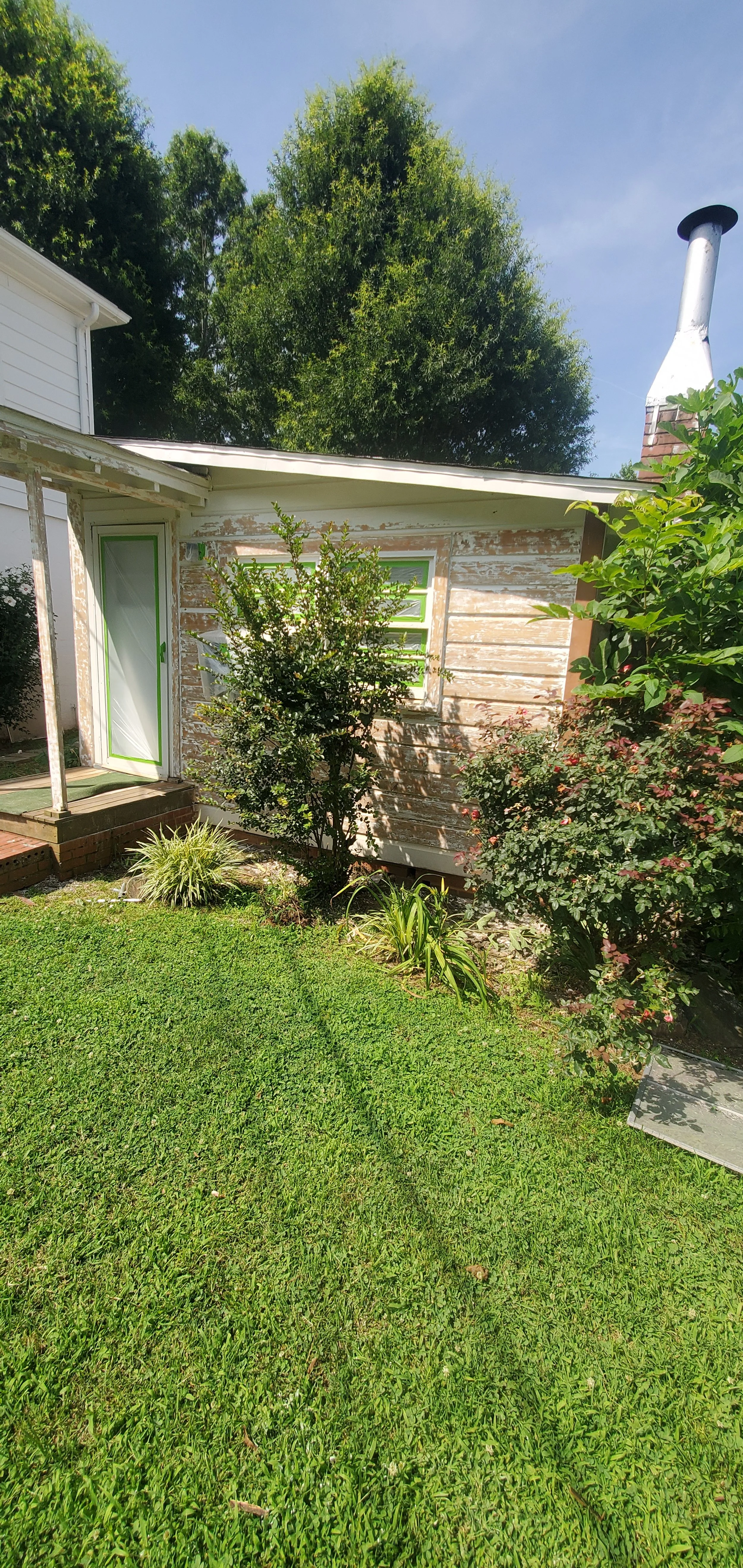 A backyard with a green grassy lawn, shrubs, and bushes in front of an old wooden house with peeling paint. There is a door with a glass panel and a window with green shutters. A cloudy sky and tall trees are in the background.