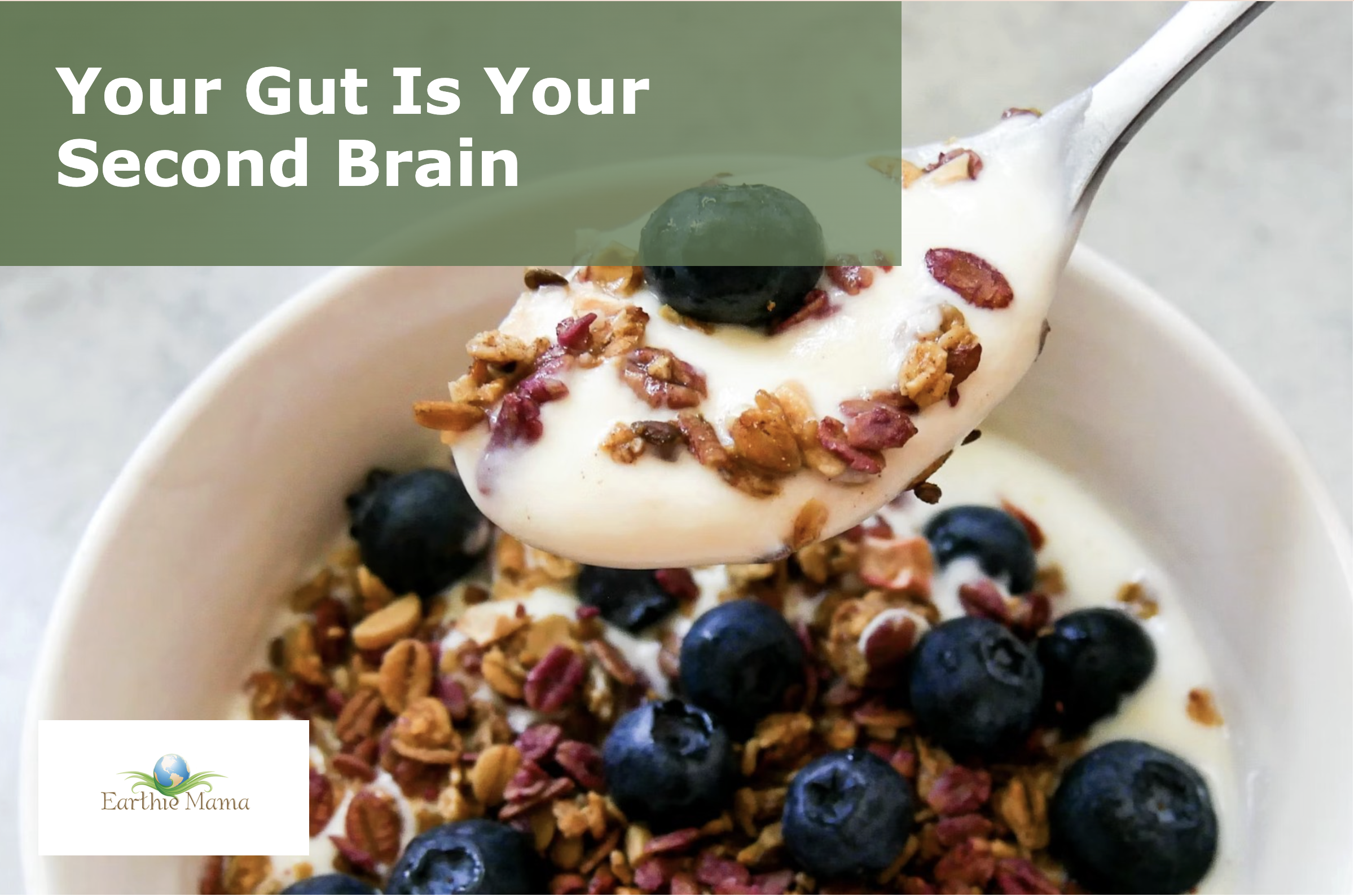 Your Gut Is Your Second Brain: 10 Surprising Ways Gut Health Affects Your Entire Body