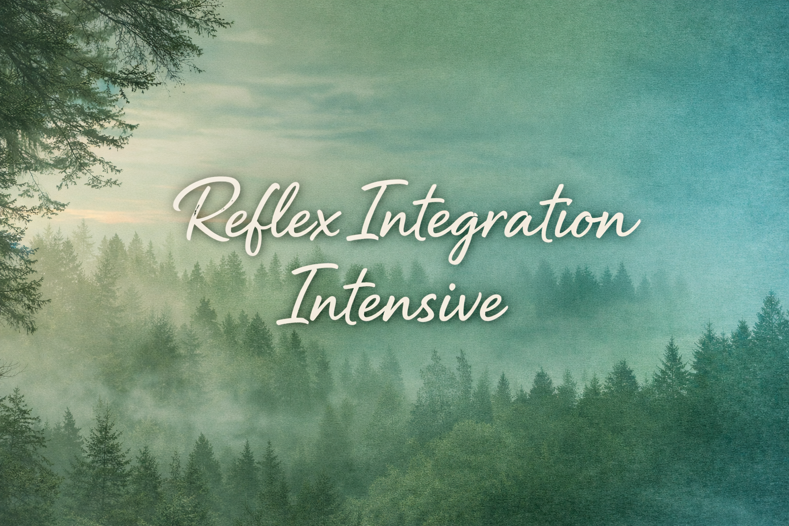 Reflex Integration Intensive