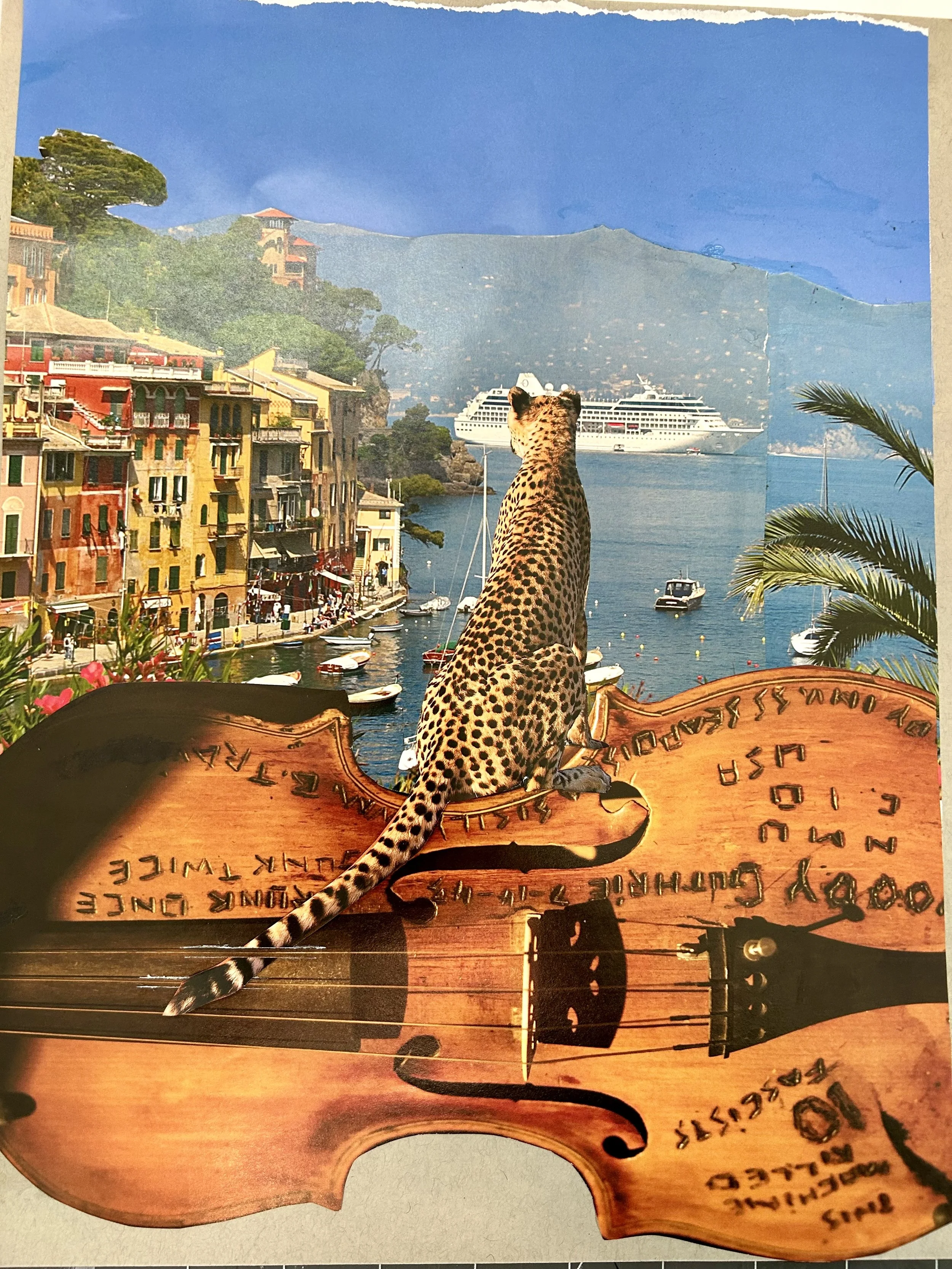 Cheetah Dreams, 2024  