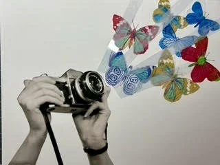“Photo Bomb Butterflies” 2024