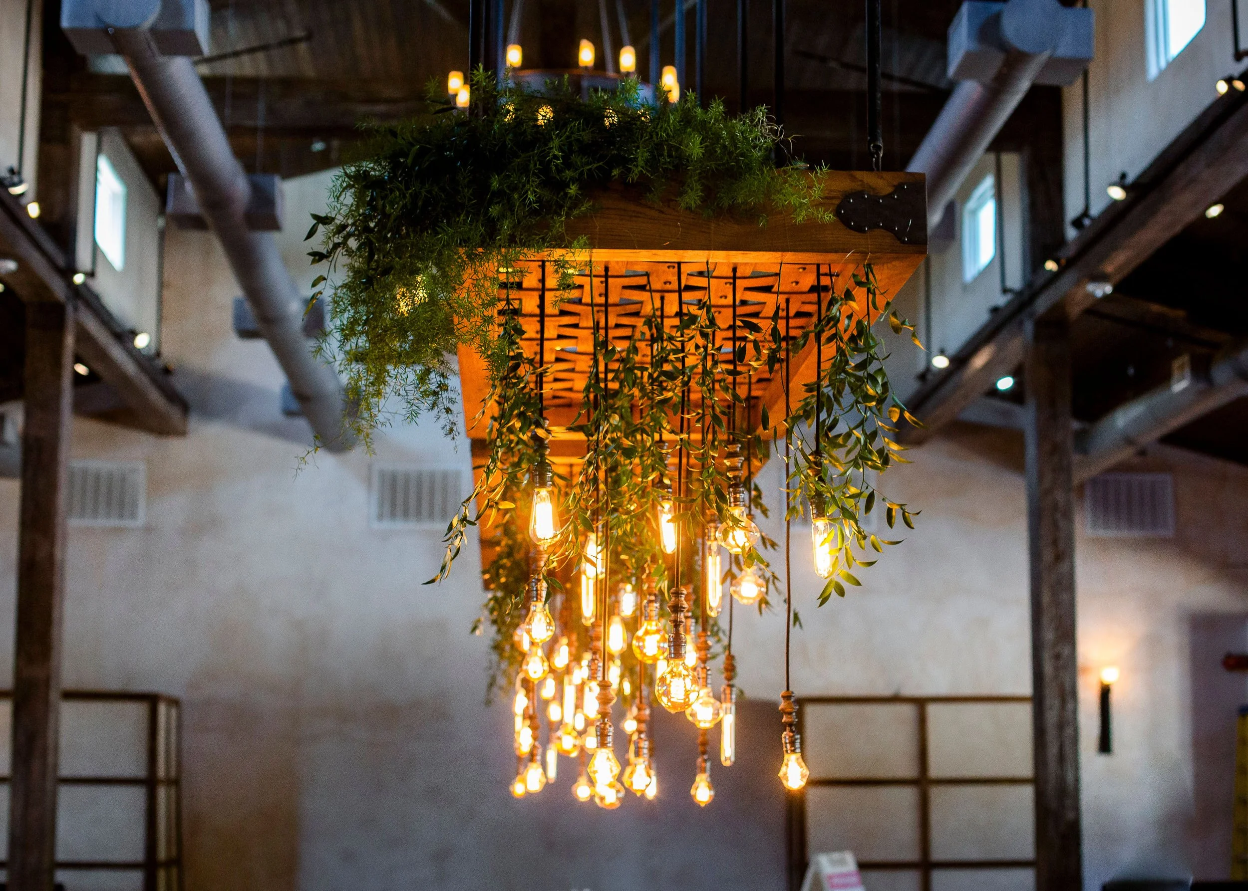 Chandelier with hanging Edison bulbs and green leafy plants in a rustic indoor setting.