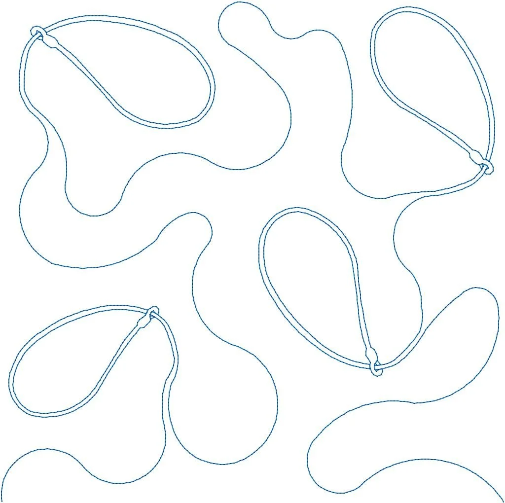 Lasso