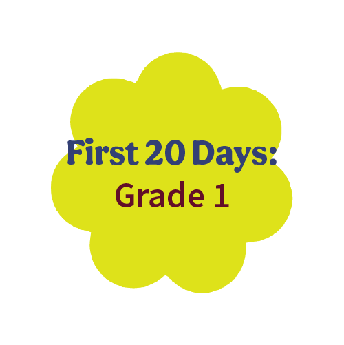 First 20 Days