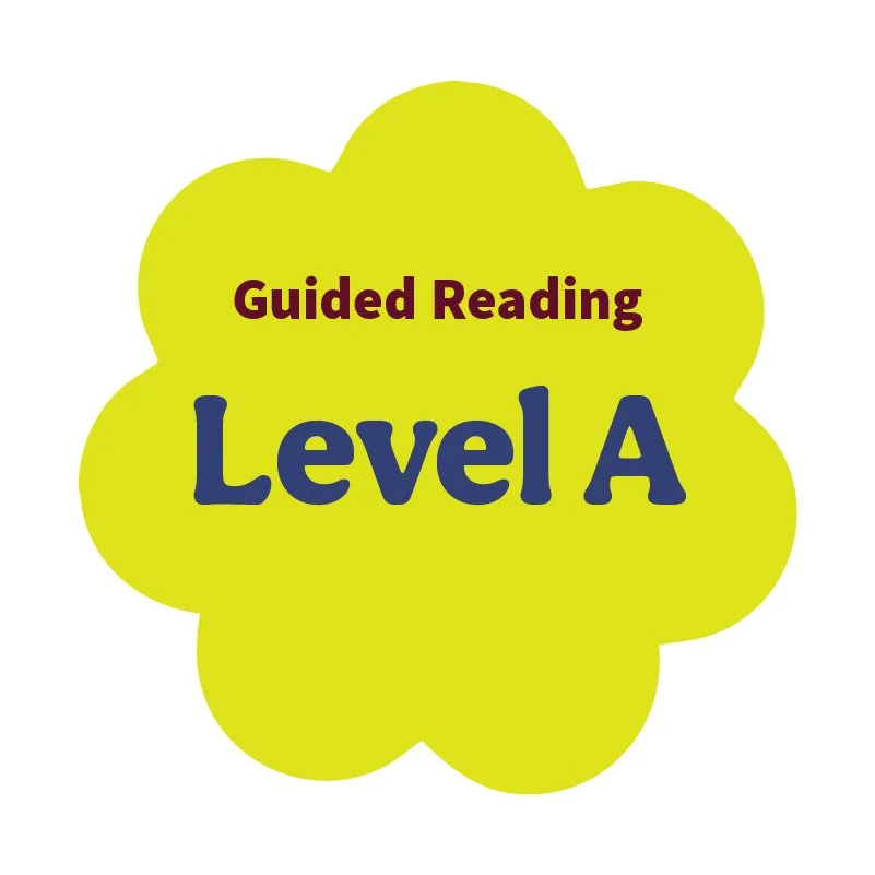 Level A