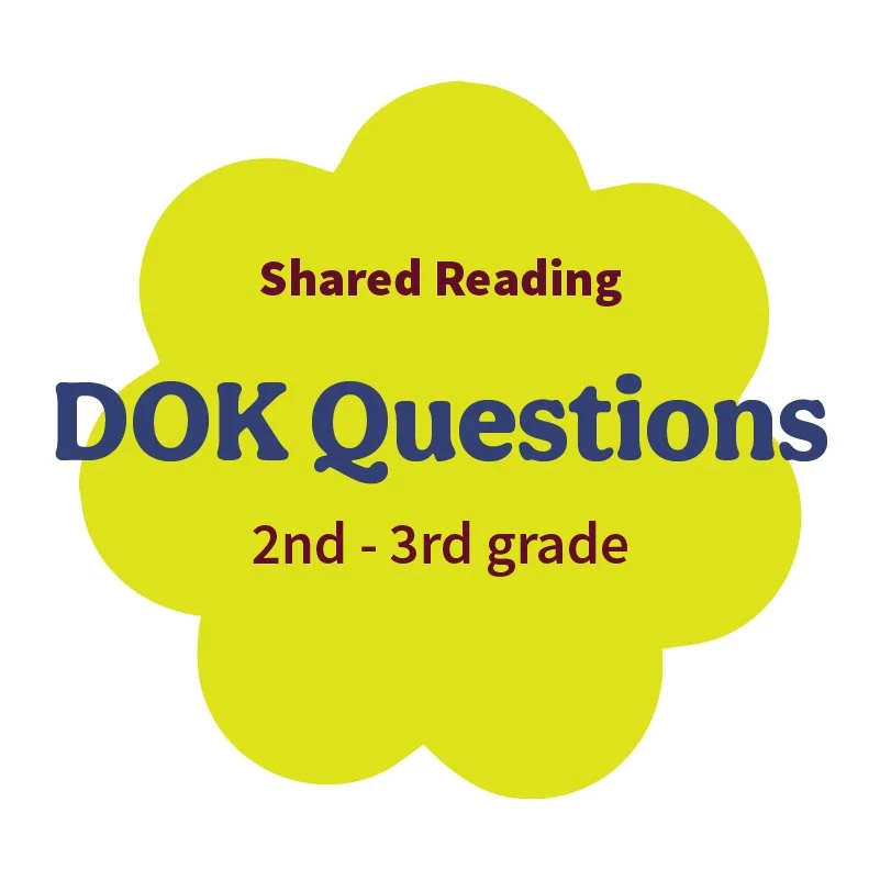 DOK Questions: The Water Princess 2-3