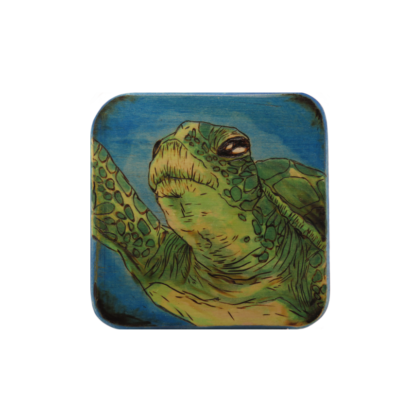 Sea Turtle Coaster.png