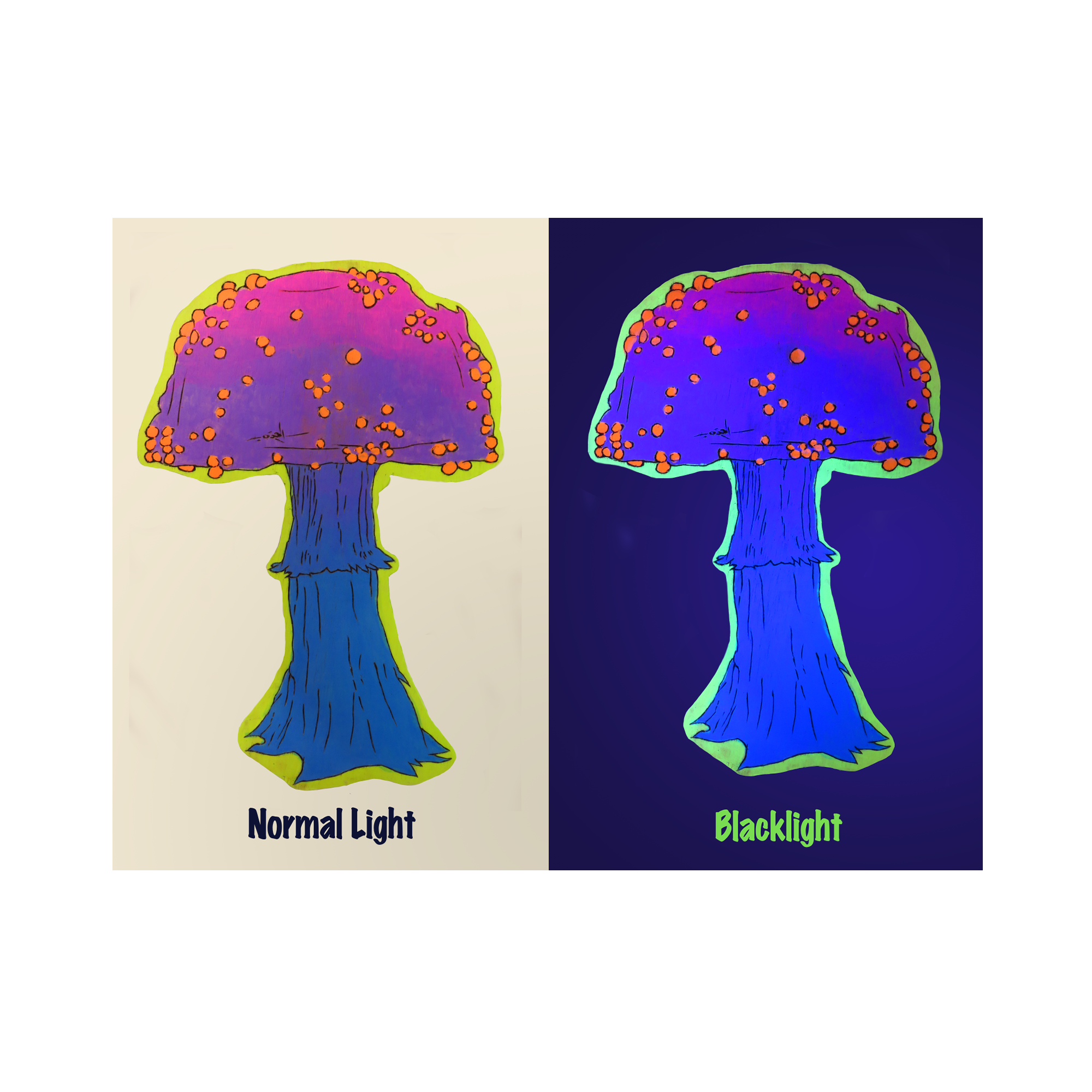 Resized Comp.png