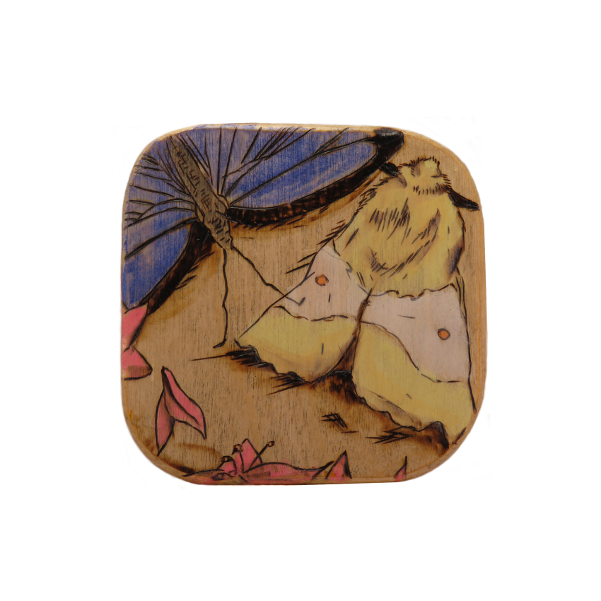 Moth & Butterfly Coaster Single