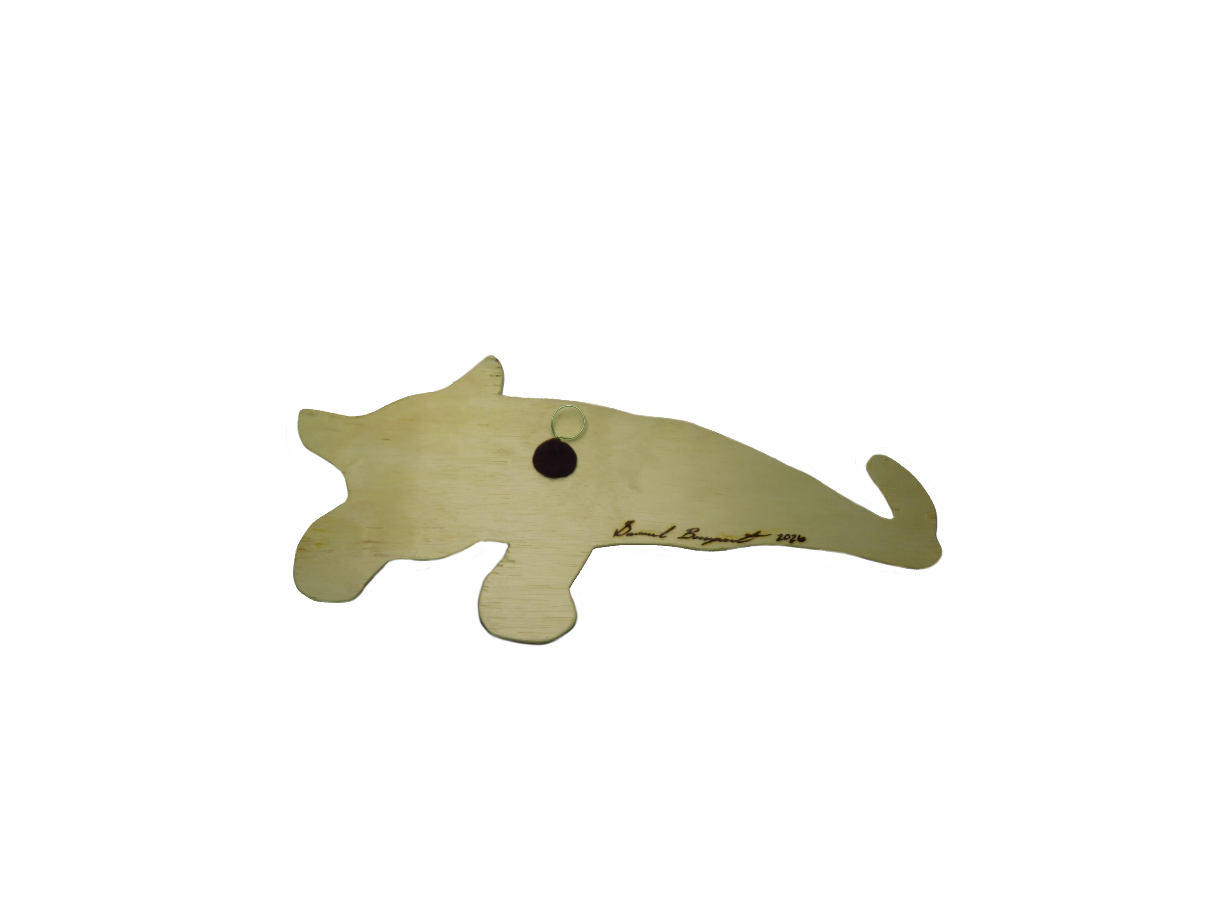 Resized Back.png