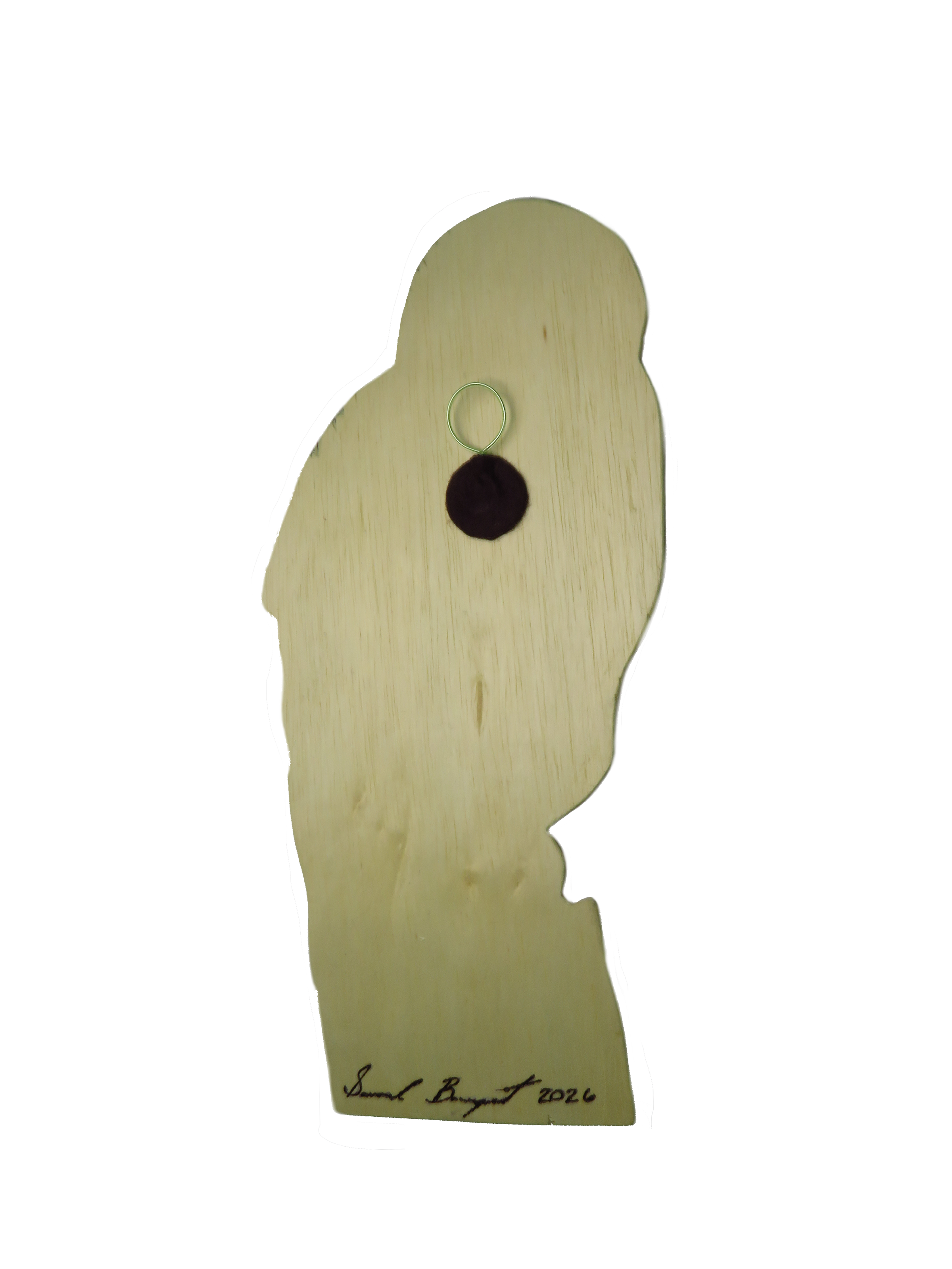 Resized Back.png