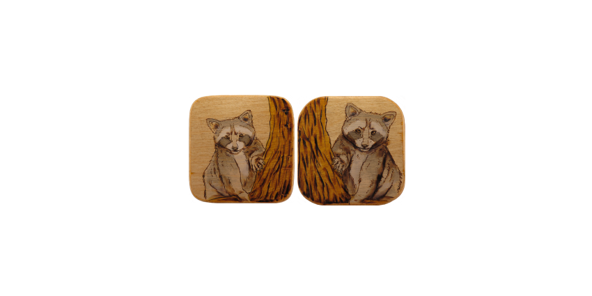 Raccoon Twins Smaller.png