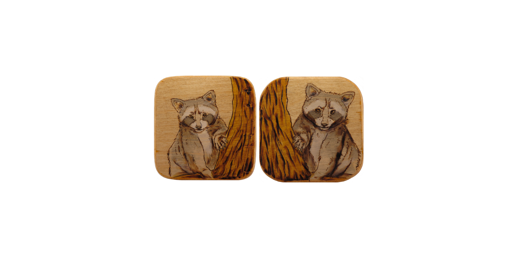 Raccoon Twins Coaster Set