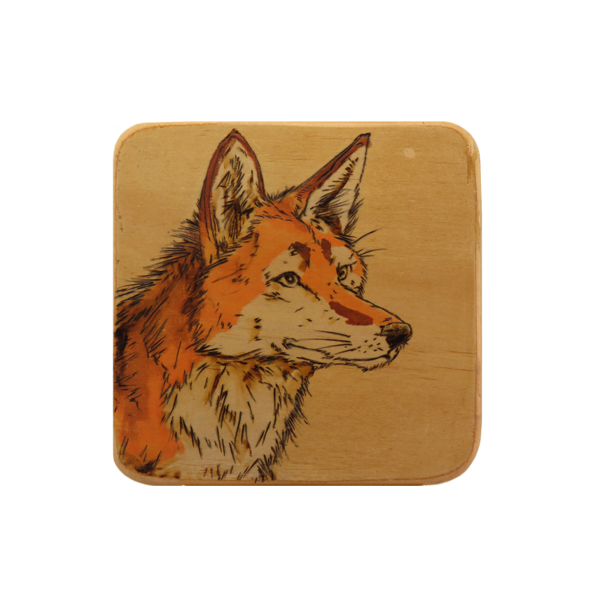 Fox Coaster.png