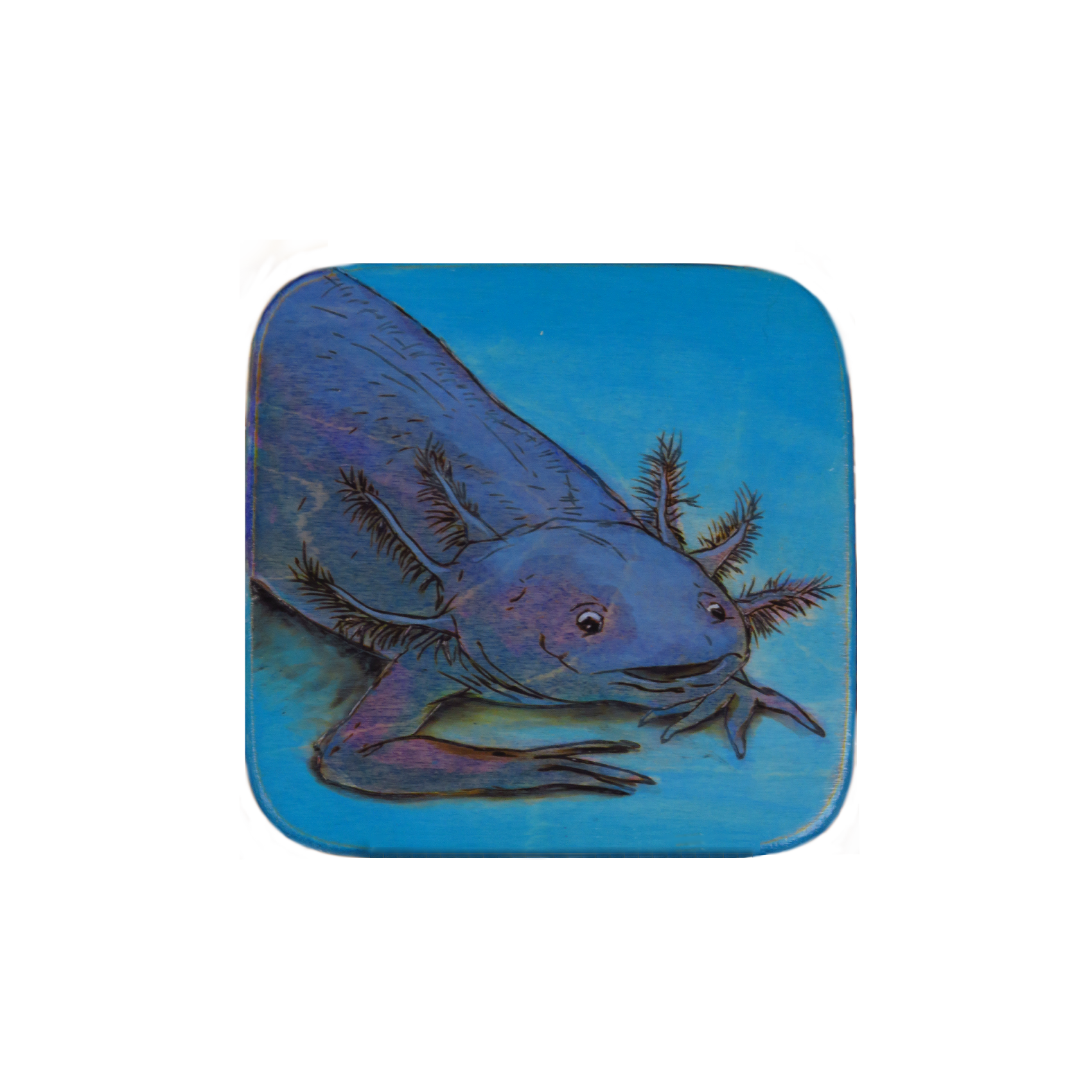 Axolotl Coaster Single- Black