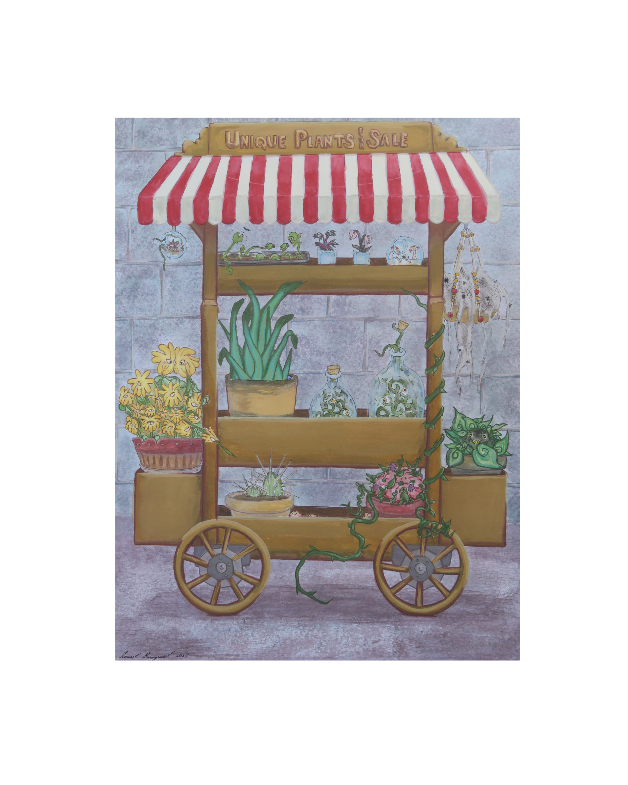 Unique Plants for Sale