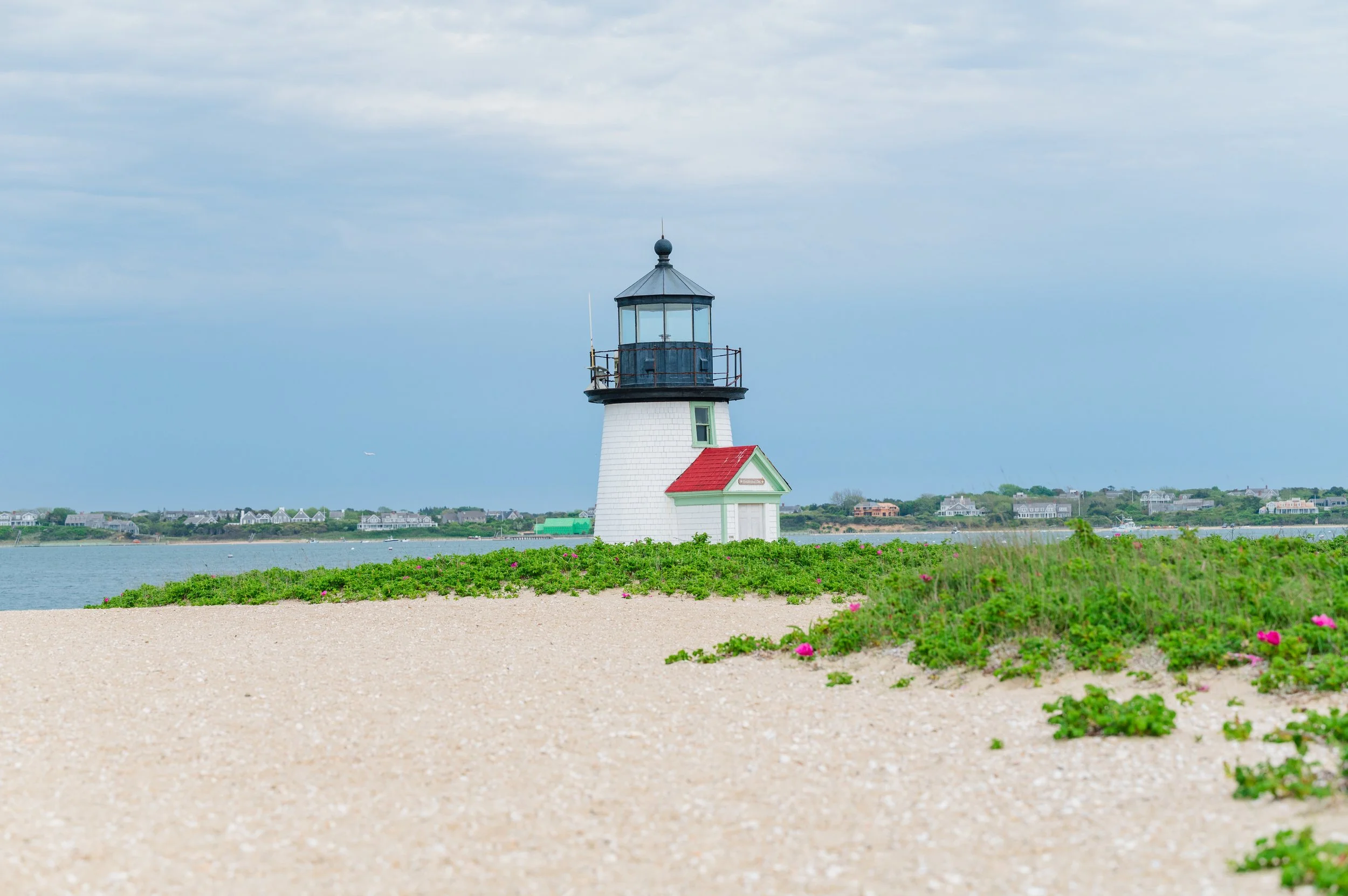 Ryan _26 Kaeleen BP surprise proposal-2.jpg