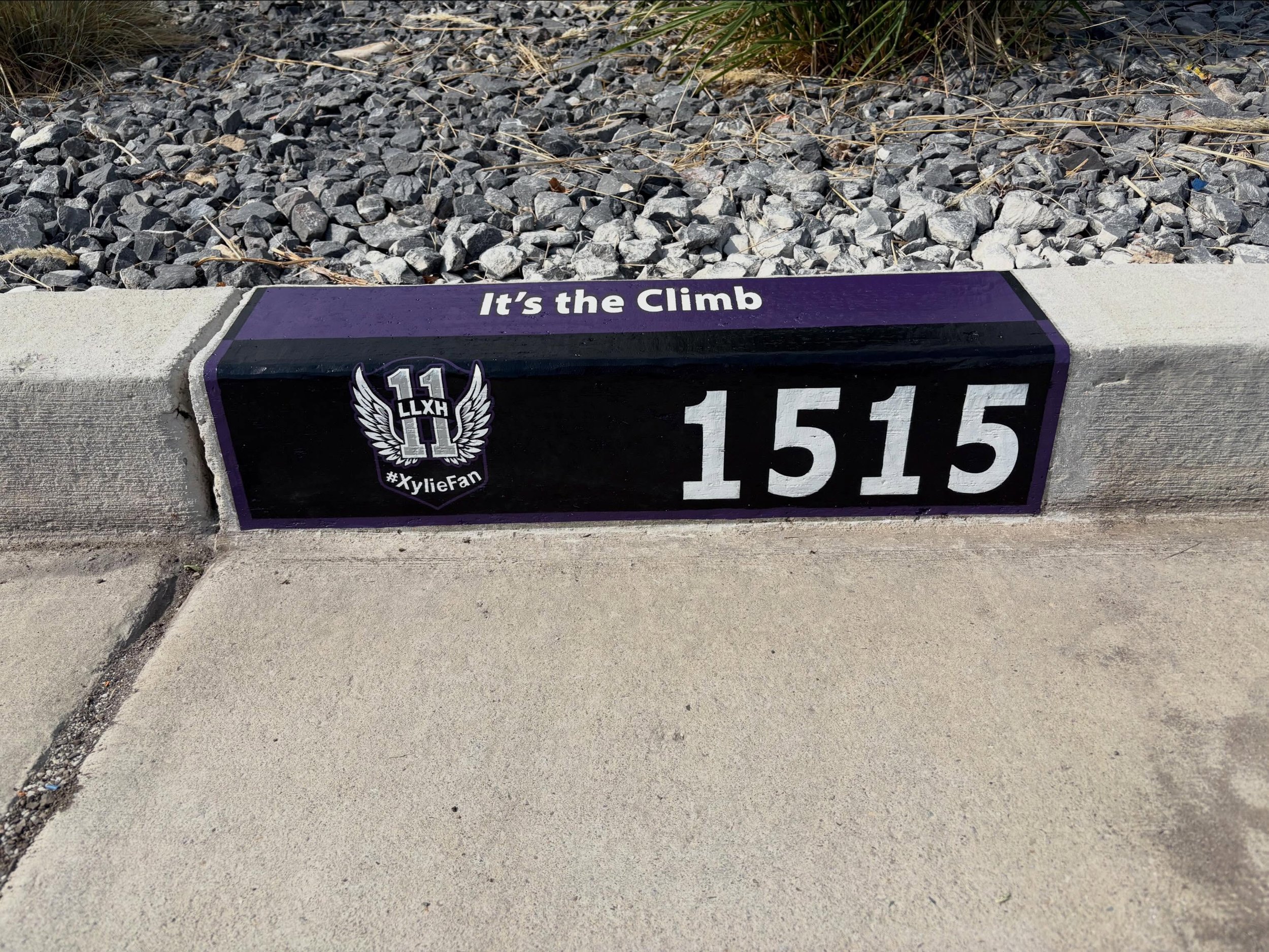 It&rsquo;s been really fun, challenging, and rewarding getting requests for more detailed specialized curbs! Keep the ideas coming!! #435painting #curbpainting #supportlocal #Utah #smallbusinesssupportingsmallbusiness