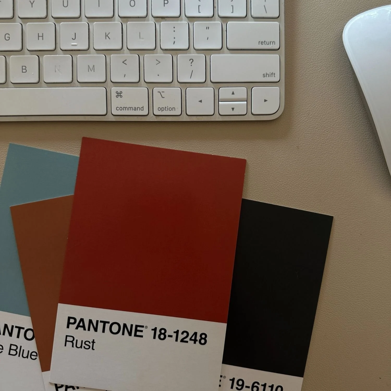 The Power of Color in Branding: How to Choose Colors That Last and Connect