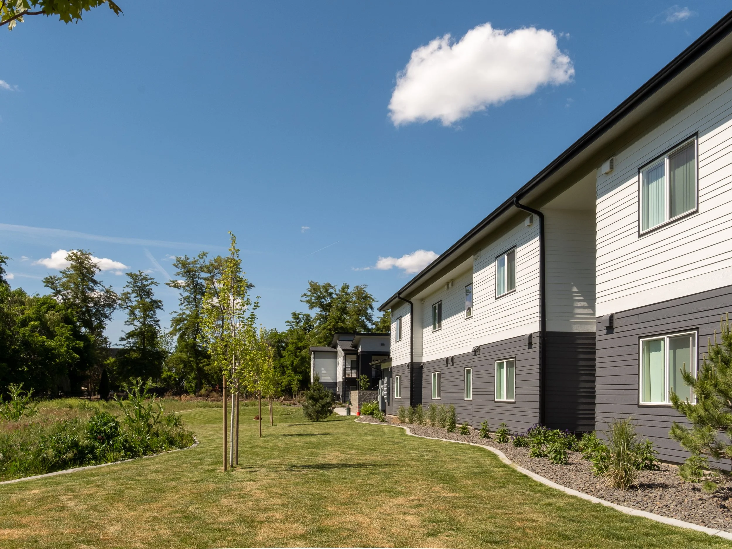 Meadow Grove-7.jpg