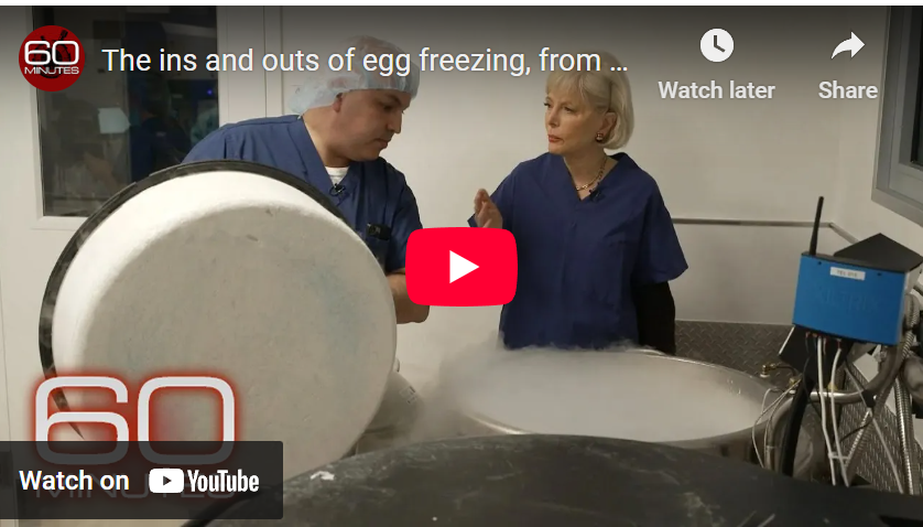 Did you see the 60 Minutes report on egg freezing?